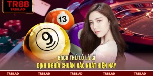 Bạch Thủ Lô Là Gì - Định Nghĩa Chuẩn Xác Nhất Hiện Nay