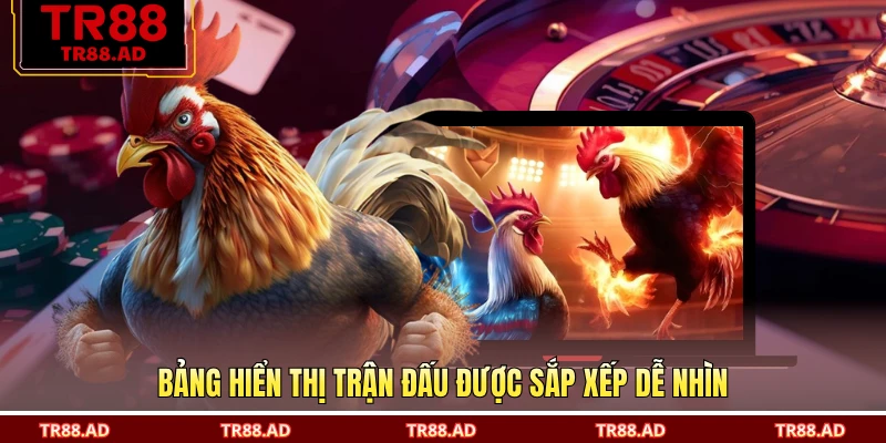 Bảng hiển thị trận đấu được sắp xếp dễ nhìn