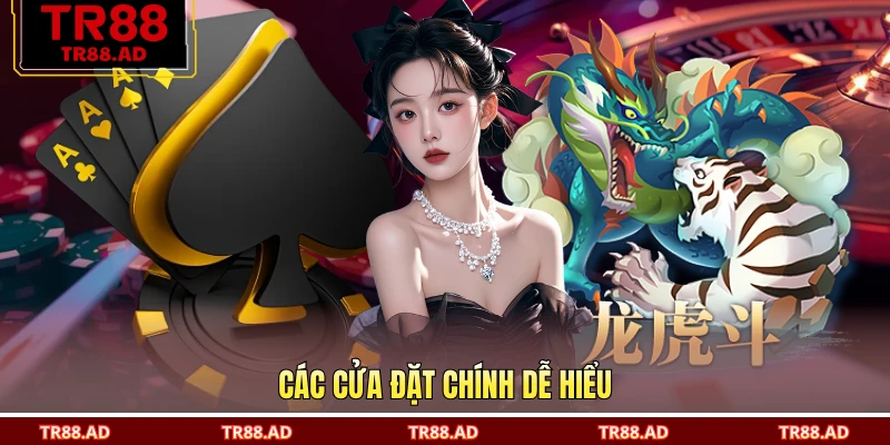 Các cửa đặt chính dễ hiểu