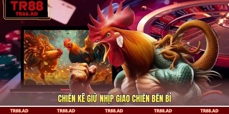Chiến kê giữ nhịp giao chiến bền bỉ