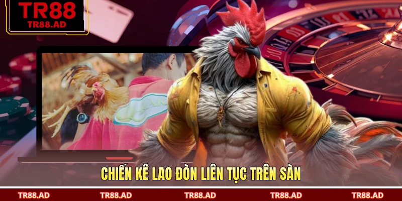 Chiến kê lao đòn liên tục trên sàn