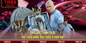 CMD368 - Sảnh Cược Thể Thao Hàng Đầu Châu Á Hiện Nay