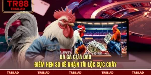 Đá Gà Cựa Dao - Điểm Hẹn So Kê Nhận Tài Lộc Cực Cháy