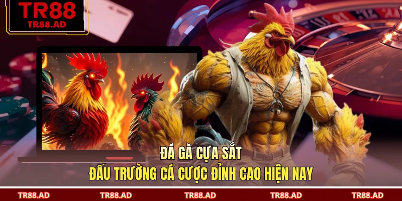 Đá Gà Cựa Sắt - Đấu Trường Cá Cược Đỉnh Cao Hiện Nay