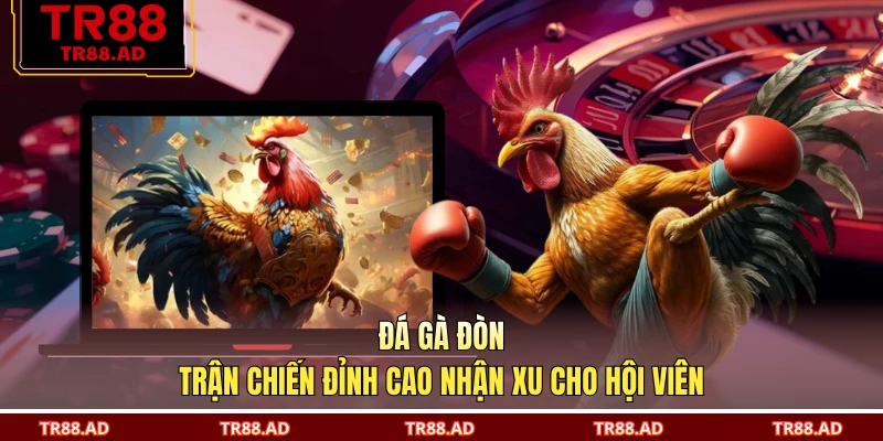 Đá Gà Đòn - Trận Chiến Đỉnh Cao Nhận Xu Cho Hội Viên