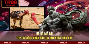 Đá Gà Mã Lai - Top Cá Cược Nhận Tài Lộc Hot Nhất Hiện Nay