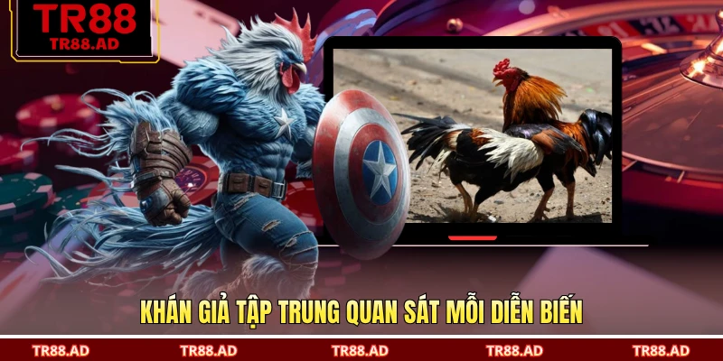 Khán giả tập trung quan sát mỗi diễn biến