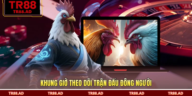 Khung giờ theo dõi trận đấu đông người
