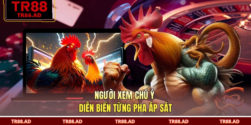 Người xem chú ý diễn biến từng pha áp sát
