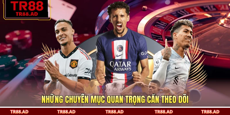 Những chuyên mục quan trọng cần theo dõi