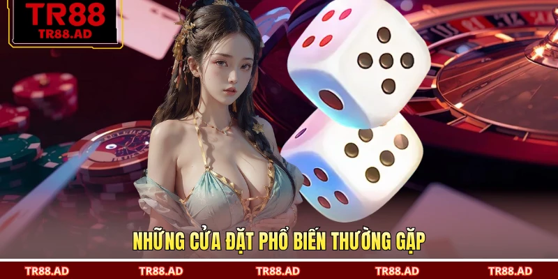 Những cửa đặt phổ biến thường gặp