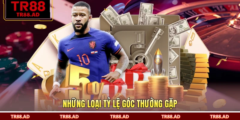 Những loại tỷ lệ góc thường gặp