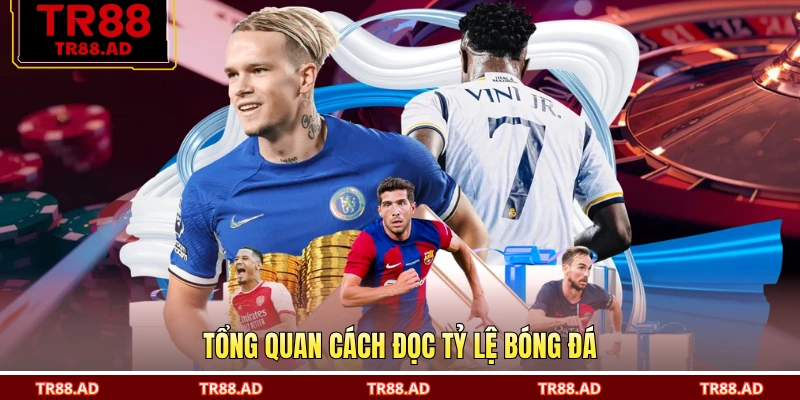 Tổng quan cách đọc tỷ lệ bóng đá